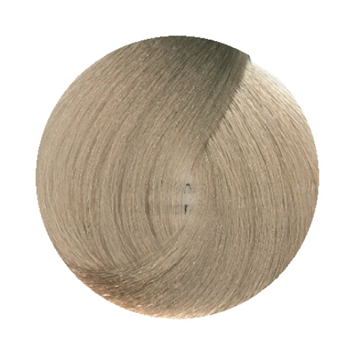 10.1 Ash Platinum Blonde