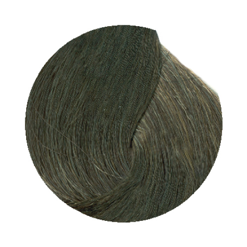 6.17 Dark Blonde Metallic Ash