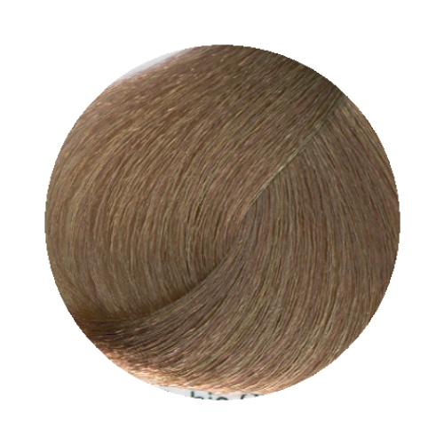 8.00 Light Blonde Intense