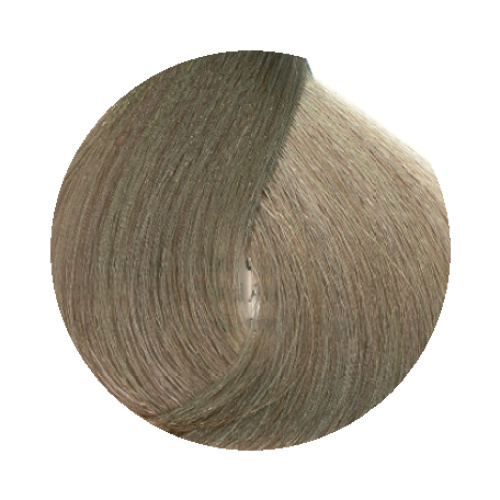 8.1 Ash Light Blonde