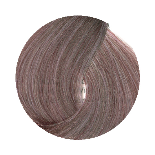 8.21 Light Blonde Ash Violet