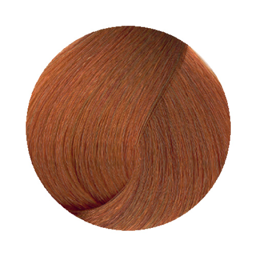 8.34 Light Blonde Copper Golden