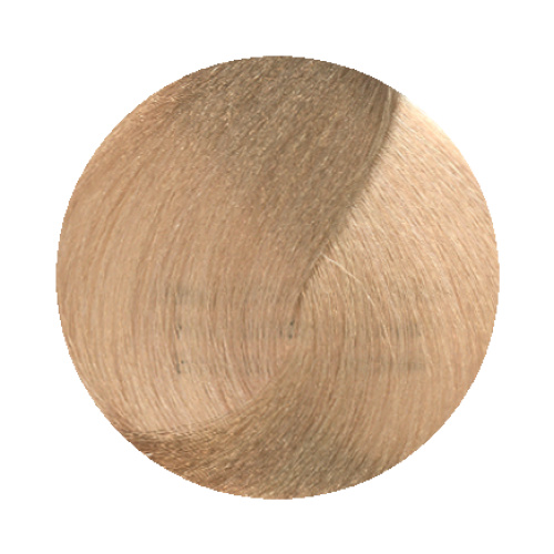 9.3 Very Light Golden Blonde